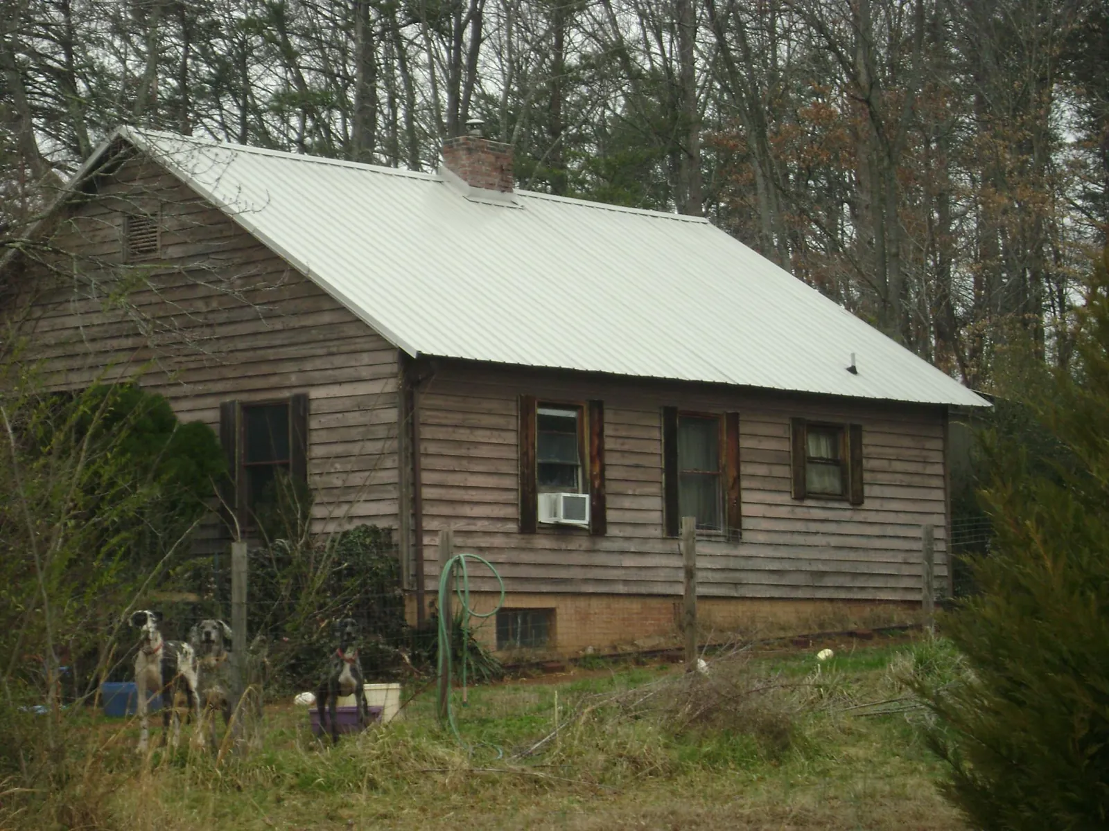 White metal roof on an old wood sided farmhouse, from a Asphalt Shingle Roof Repair job in New Albany